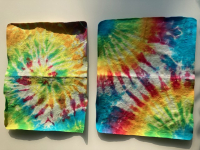 Shammy Farbpalette - Fluorescent "high lighter"